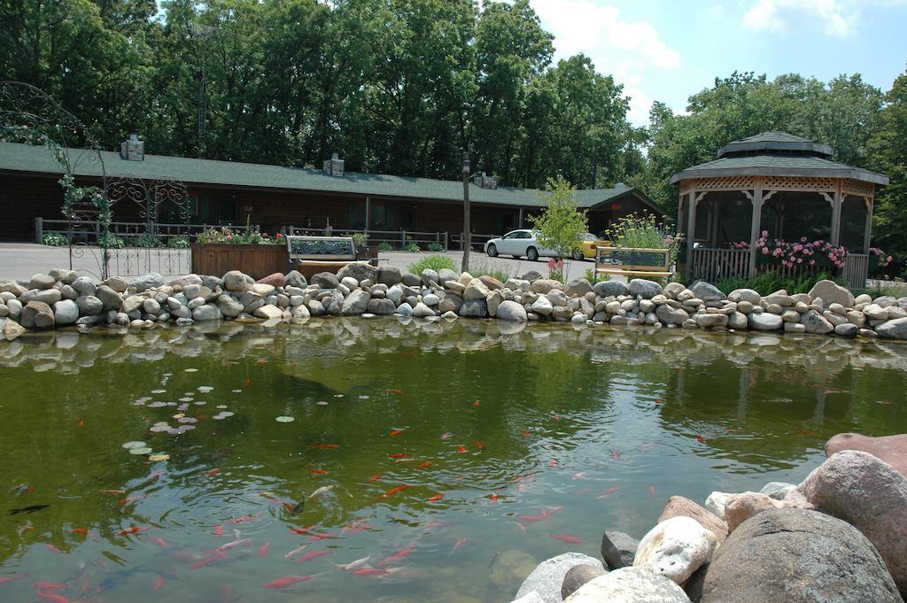 Lazy Cloud Bed & Breakfast Williams Bay Ngoại thất bức ảnh